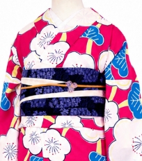 Examples of rental kimono